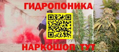 крисы Ливны