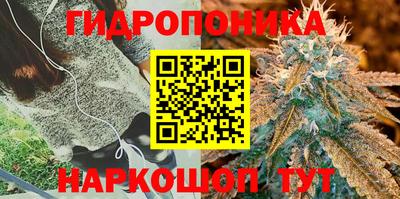 крисы Ливны