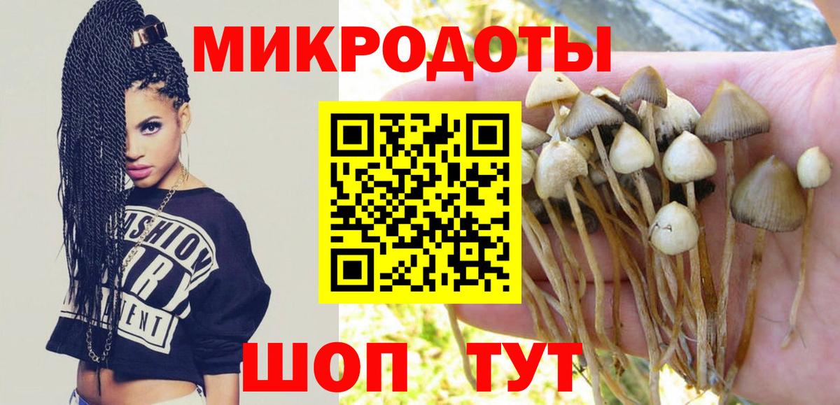 Галлюциногенные грибы Magic Shrooms Усть-Илимск