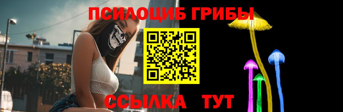 Галлюциногенные грибы Psilocybine cubensis  наркота  Псилоцибиновые грибы MAGIC MUSHROOMS  Усть-Илимск  Вход с VPN 